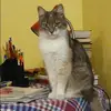 Отзыв от Мария Свиридова